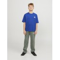 JACK & JONES Junior Cole Back Print T-shirt - Mazarine Blue