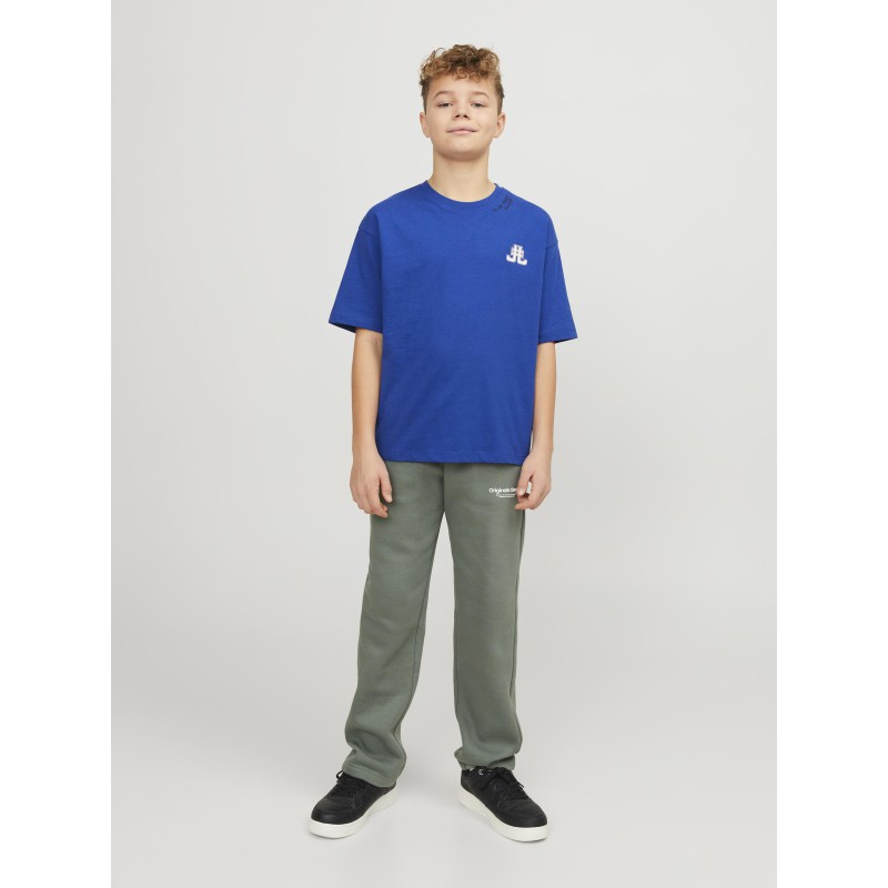 JACK & JONES Junior Cole Back Print T-shirt - Mazarine Blue