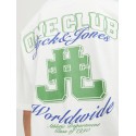 JACK & JONES Junior Cole Back Print T-shirt - Cloud Dancer
