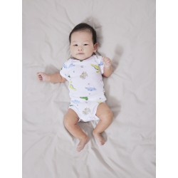 NAME IT Baby/Mini Dino S/S Body 2-Pak - Laurel Wreath