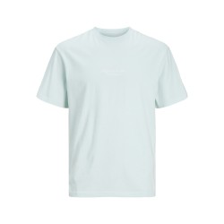 JACK & JONES JUNIOR Jorvesterbro Tee Kortærmet Crew Neck  Junior - Skylight