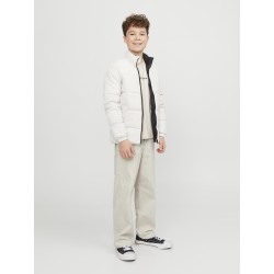 JACK & JONES Junior Alex Carpenter Bukser - Moonbeam