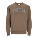 JACK & JONES JUNIOR Jjecaleb Varsity Sweat Crew Neck Junior - Canteen