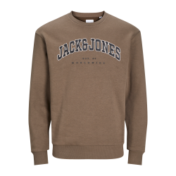 JACK & JONES JUNIOR Jjecaleb Varsity Sweat Crew Neck Junior - Canteen
