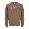 JACK & JONES JUNIOR Jjecaleb Varsity Sweat Crew Neck Junior - Canteen