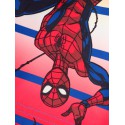 NAME IT Melvin Spiderman Lang Swimkorts Mar - Set Sail