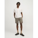 JACK & JONES Bowie Solid Shorts - Bungee Cord