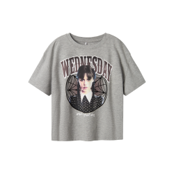 NAME IT Nkfoxa Wednesday Kortærmet Rlx Top Box Sky - Grey Melange