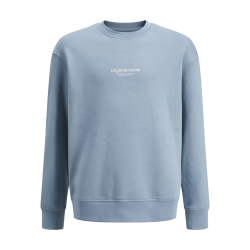 JACK & JONES JUNIOR Jorvesterbro Sweat Crew Neck  Junior - Mountain Spring