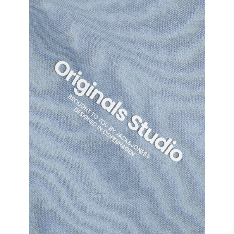 JACK & JONES JUNIOR Jorvesterbro Sweat Crew Neck  Junior - Mountain Spring