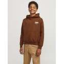 JACK & JONES Junior Noho Back Grafisk Hoodie - Brandy Brown