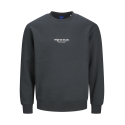 JACK & JONES Jorvesterbro Sweat Crew Neck Pls - Forest River