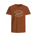 JACK & JONES PLUS Blufreddy T-shirt - Bombay Brown