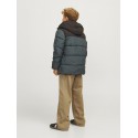 JACK & JONES JR. Alex Baggy Worker Bukser - Elmwood
