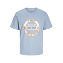 JACK & JONES Jrebcasper Tee Kortærmet Crew Neck - Mountain Spring