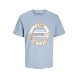 JACK & JONES Jrebcasper Tee Kortærmet Crew Neck - Mountain Spring