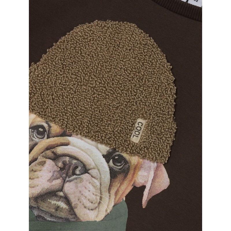 NAME IT Mini Radek Regular Sweatshirt - Bracken