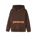NAME IT Kids Sivas Regular Hoodie - Bracken