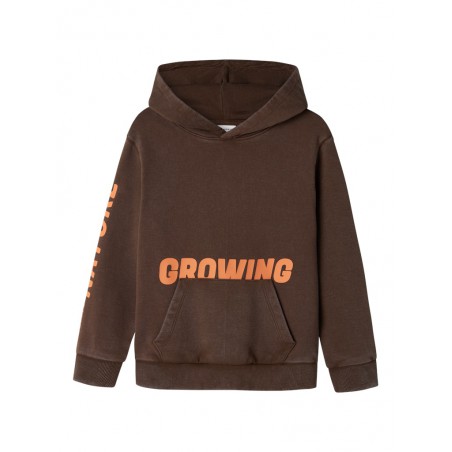 NAME IT Kids Sivas Regular Hoodie - Bracken