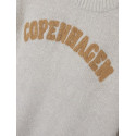 NAME IT Kids Louie Strik Sweater - Peyote Melange