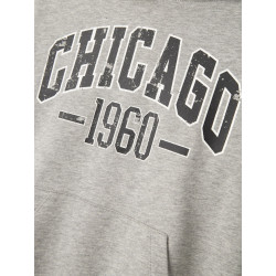 NAME IT Teeddy Sweatshirt - Grey Melange