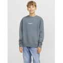 JACK & JONES Junior Vesterbro Sweatshirt - Stormy Weather