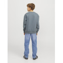 JACK & JONES Junior Vesterbro Sweatshirt - Stormy Weather