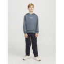 JACK & JONES Junior Vesterbro Hoodie - Stormy Weather
