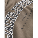JACK & JONES JUNIOR Jjecaleb Varsity Sweat Hood  Junior - Canteen