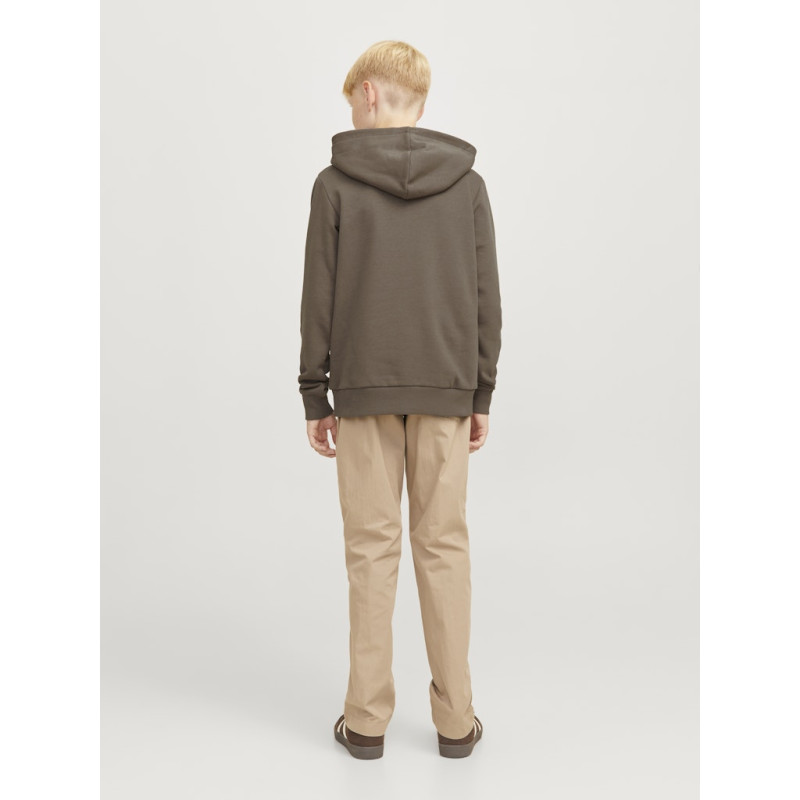 JACK & JONES JUNIOR Caleb Varsity Sweatshirt Junior - Canteen