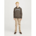 JACK & JONES JUNIOR Caleb Varsity Sweatshirt Junior - Canteen