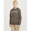 JACK & JONES JUNIOR Caleb Varsity Sweatshirt Junior - Canteen