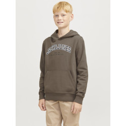JACK & JONES JUNIOR Caleb Varsity Sweatshirt Junior - Canteen