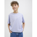Jack & Jones Jr. Vesterbro T-Shirt - Cosmic Sky