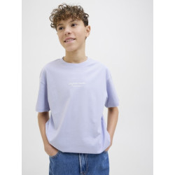 Jack & Jones Jr. Vesterbro T-Shirt - Cosmic Sky
