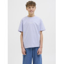 Jack & Jones Jr. Vesterbro T-Shirt - Cosmic Sky