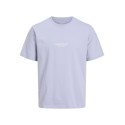 Jack & Jones Jr. Vesterbro T-Shirt - Cosmic Sky