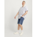 JACK & JONES Plus Size Rick Denim Shorts - Blue Denim