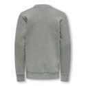 ONLY & SONS Junior Ceres Sweatshirt - Castor Gray