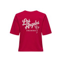 JDY Cally Print T-Shirt - Ski Patrol