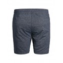 JACK & JONES Plus Colt sweat shorts - Sky Captain