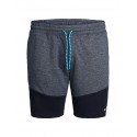 JACK & JONES Plus Colt sweat shorts - Sky Captain