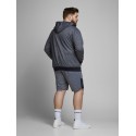 JACK & JONES Plus Colt sweat shorts - Sky Captain