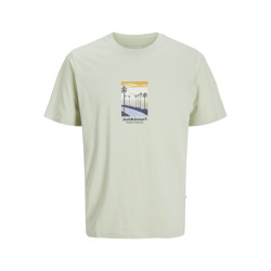 JACK & JONES PLUS Split Graphic Front T-Shirt - Celadon Tint