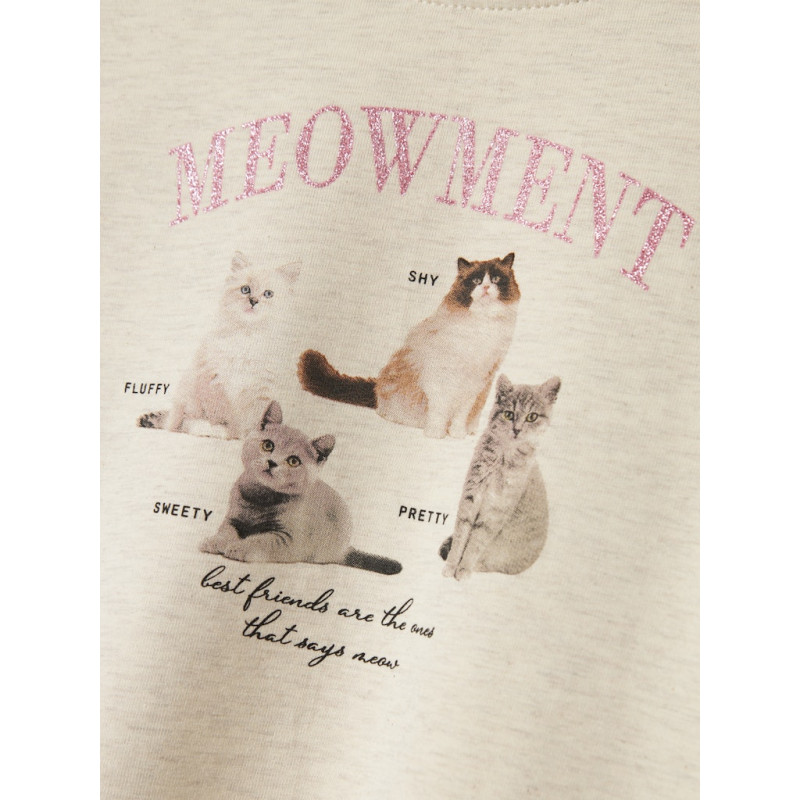 NAME IT MINI Boletta Sweatshirt - Peyote Melange