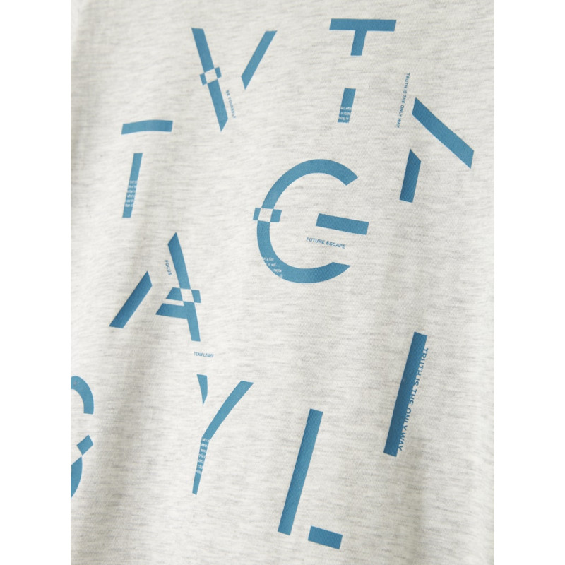 NAME IT KIDS Bennibo T-Shirt - Light Grey Melange