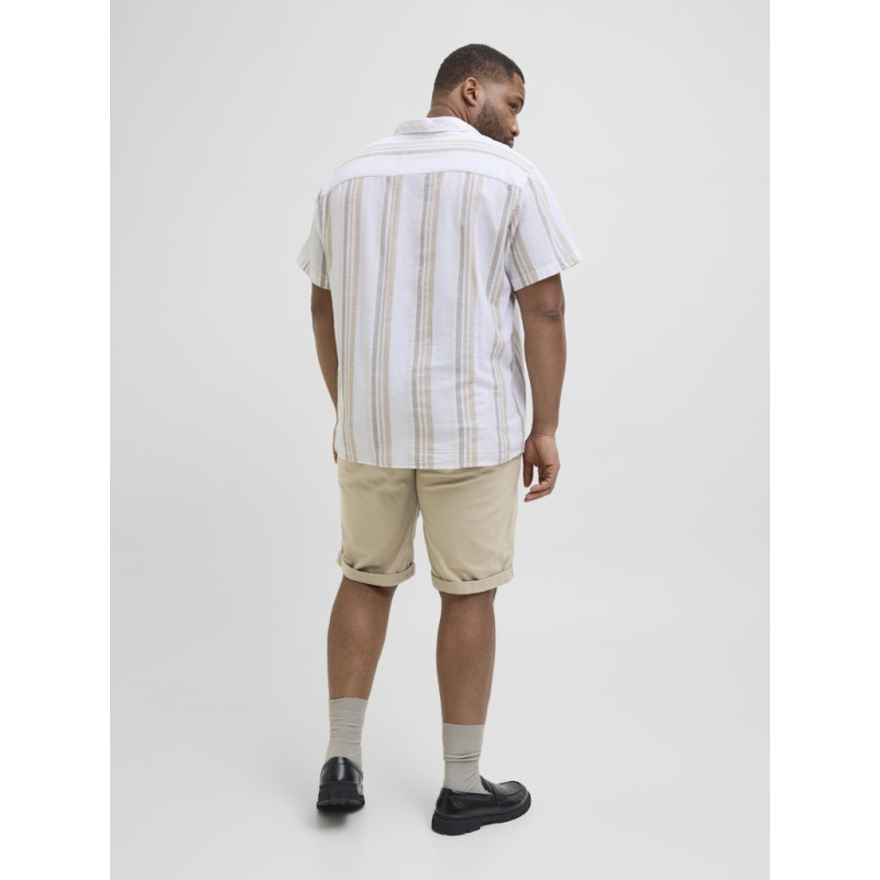 JACK & JONES PLUS Dave Jjchino Shorts - Crockery