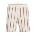 JACK & JONES JUNIOR Jaiden Coba Stribede Jogging Shorts - Arabian Spice