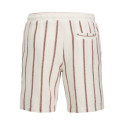 JACK & JONES JUNIOR Jaiden Coba Stribede Jogging Shorts - Arabian Spice