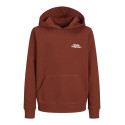 JACK & JONES JUNIOR Paros Type Hoodie - Arabian Spice